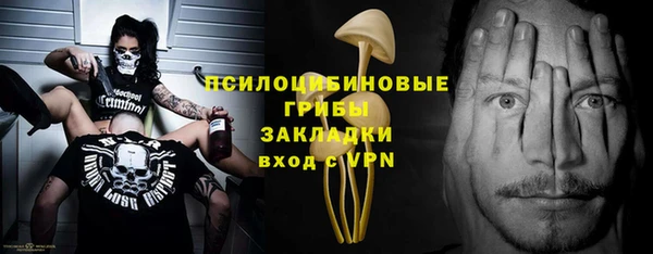 прущие грибы Горно-Алтайск