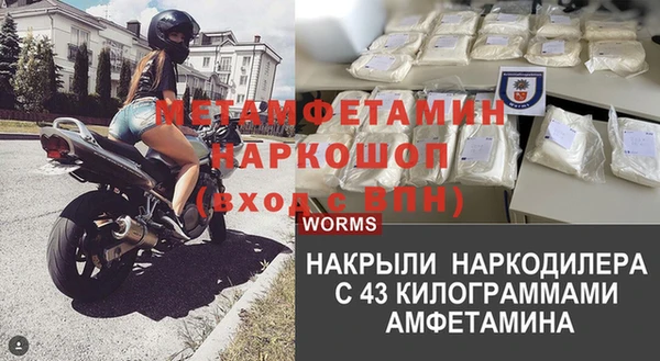 шишки Щучье