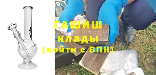 прущие грибы Горно-Алтайск