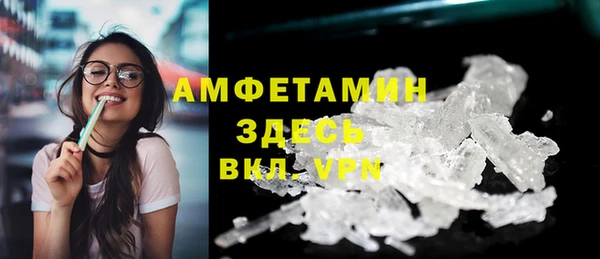 прущие грибы Горно-Алтайск