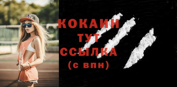 прущие грибы Горно-Алтайск