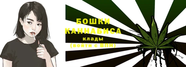 дживик Горняк