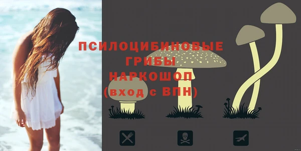 прущая мука Щёлкино