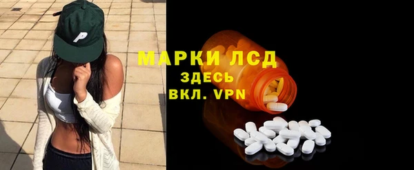 хмурый Гусев