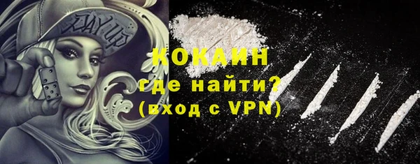 стафф Вязьма