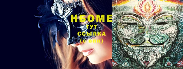 шишки Щучье
