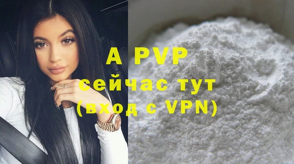 spice Вяземский
