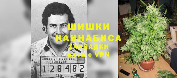 хмурый Гусев