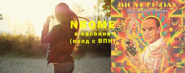хмурый Гусев