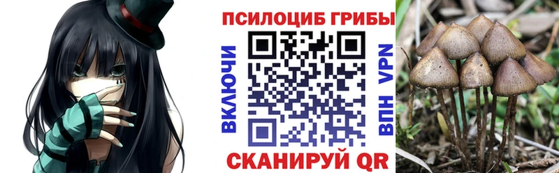 Галлюциногенные грибы мухоморы  купить наркоту  Заозёрный 